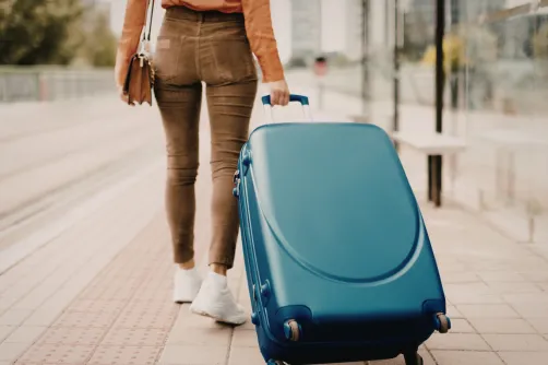 Cómo evitar que la peste porcina africana llegue a Estados Unidos durante los viajes de primavera